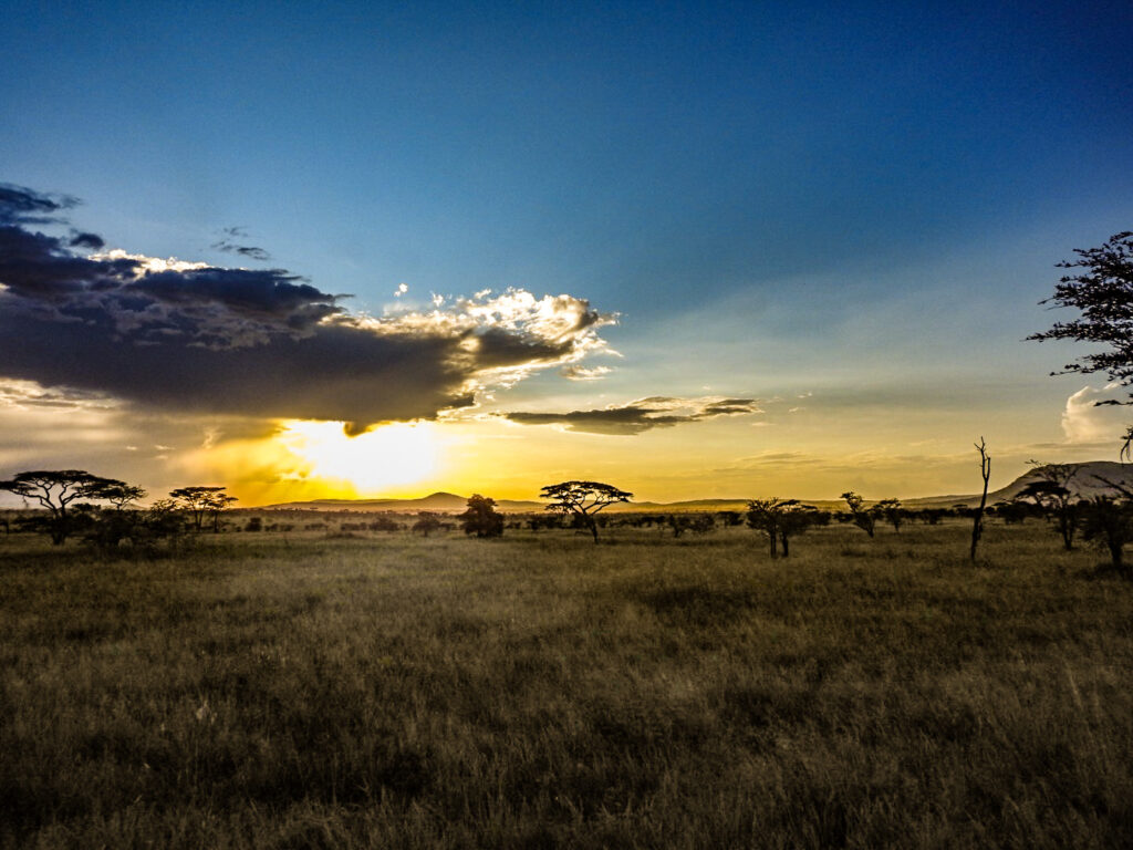 Sunset view Serengeti - Tanzania