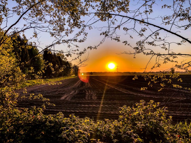 Breda - zonsopgang Hartelweg