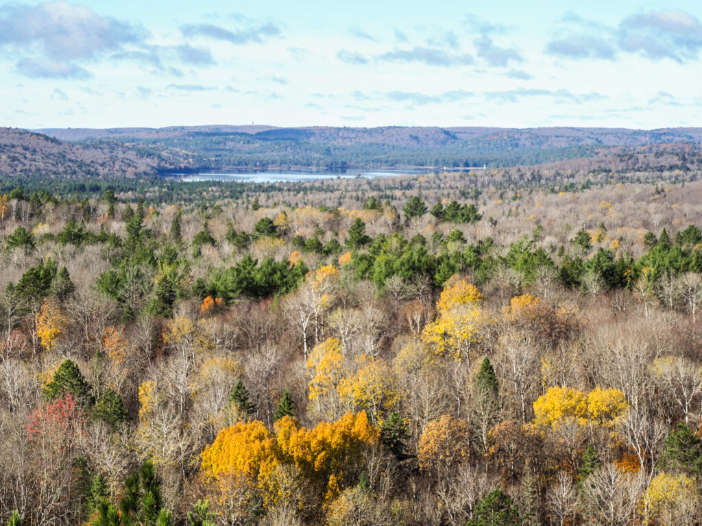 Lookout trail - Algonquin Park